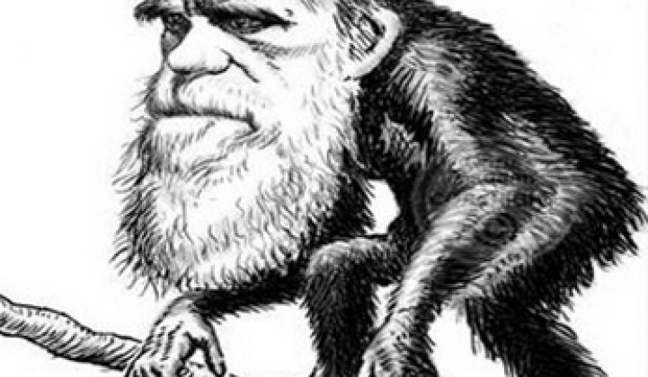 Why Charles Darwin Would Love Distributed Energy