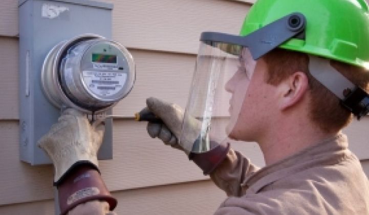 Smart Meter Opt-Out: Noise Versus Reality