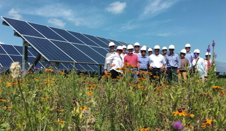 Solar gardens are finally blooming in Minnesota.