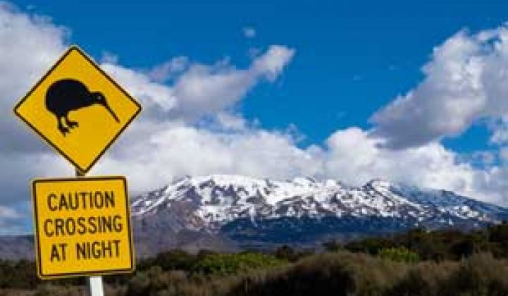 Silver Spring Beats Analyst Estimates, Goes Further Into New Zealand