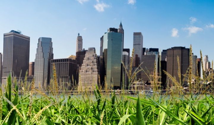 Can Agriculture Go Urban?