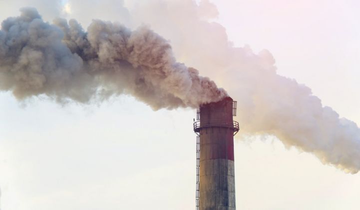 How to Strip Carbon From the Atmosphere Using Biotech