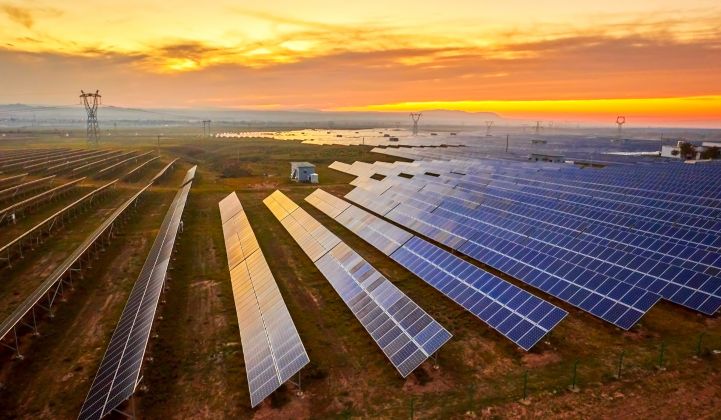 Large scale solar plants will bring more new capacity online this year than any other electricity source.