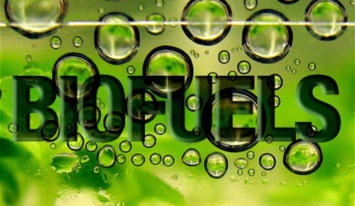 Biofuels on the Verge