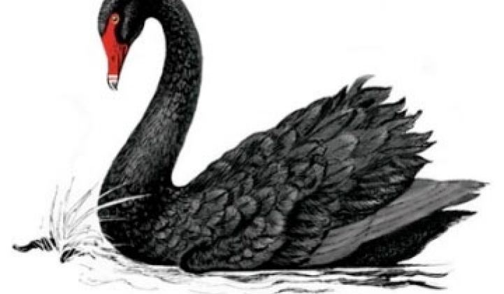 New Black Swan Improbable Pyro-Nano-Quantum-Thingamajig Technology