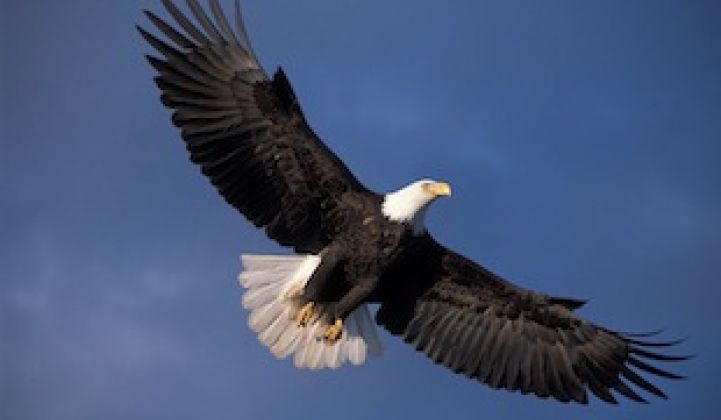 New Eagle-Kill Regulations for Wind Farms May Have Mixed Consequences