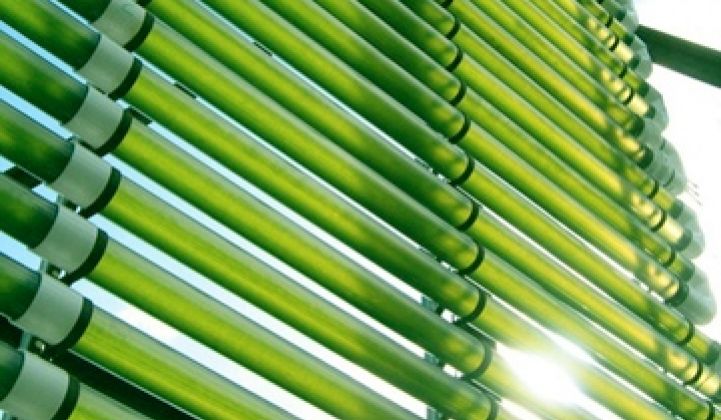 Algae Company #60 Takes Design Cues From Servers, Telecom