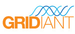 Gridiant Logo