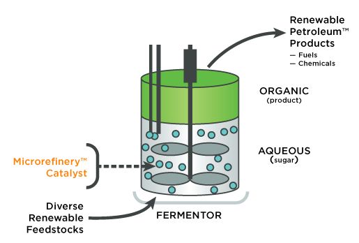 LS9-biofuel-process